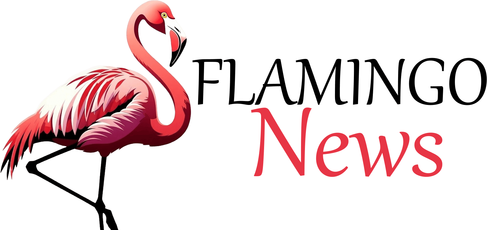 Flamingo-News